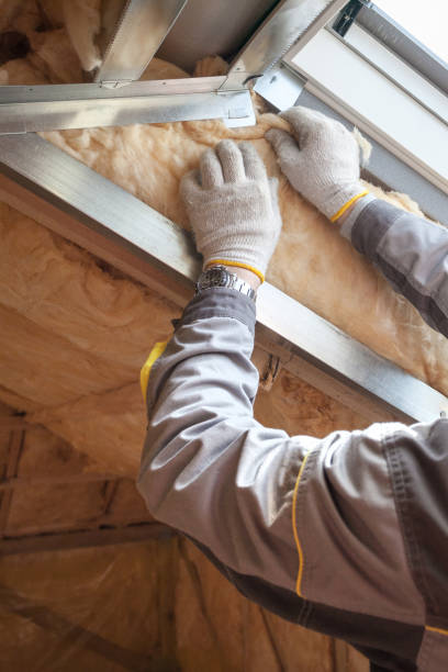 Best Insulation for New Construction  in Auburn Hills, MI